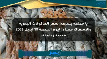 يا جماعة بسرعة! سعر المأكولات البحرية والأسماك مساء اليوم الجمعة 18 إبريل 2025 محدثة ودقيقة.